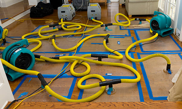 Professional Sewage Cleanup technician working in Greenville, IL